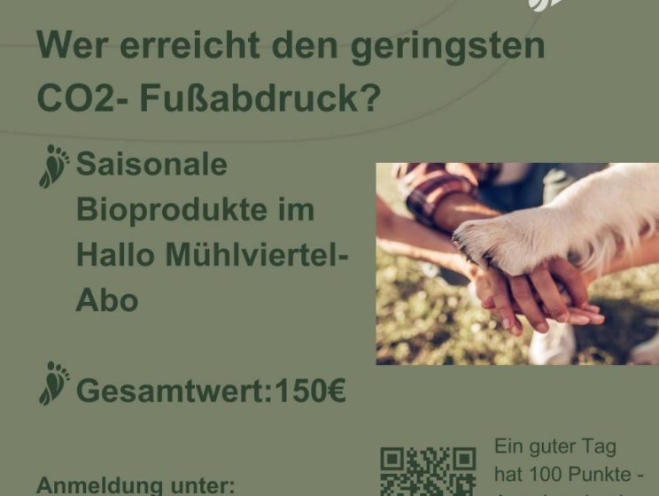 Gewinnspiel-Challenge 2024: Wir gestalten unsere Zukunft