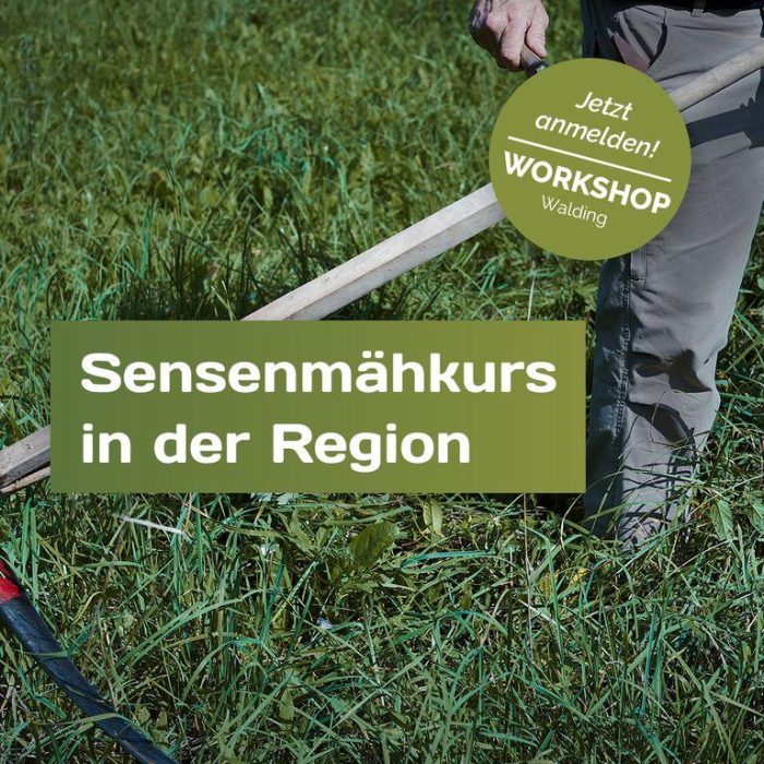 Workshop: Sensenmähkurs in der Region