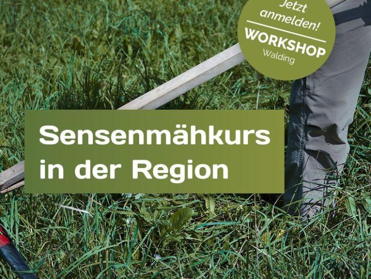 Workshop: Sensenmähkurs in der Region